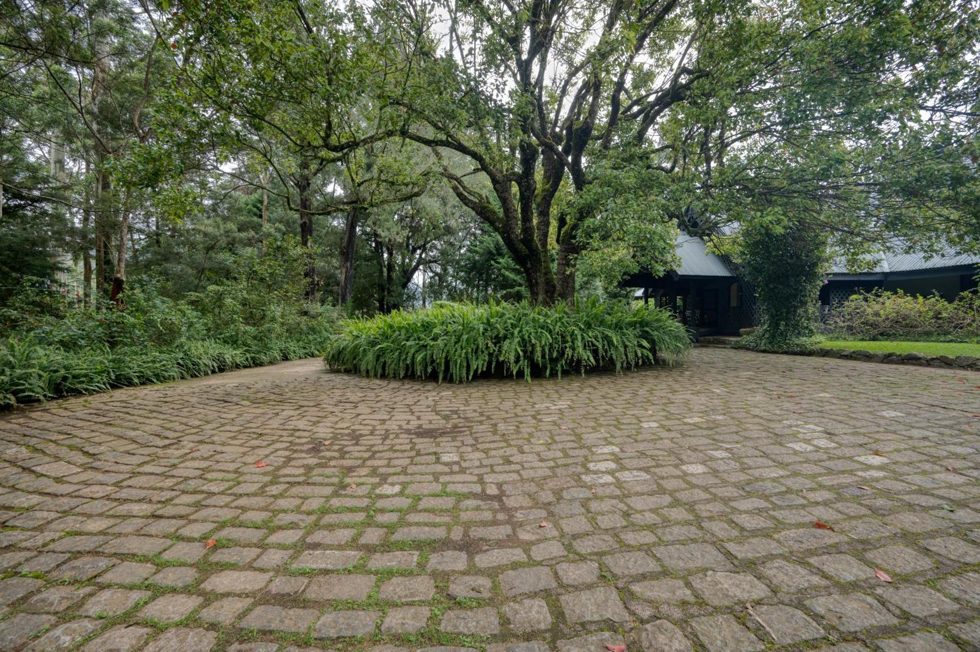 Ferncliff Bungalow Nuwara Eliya Bagian luar foto