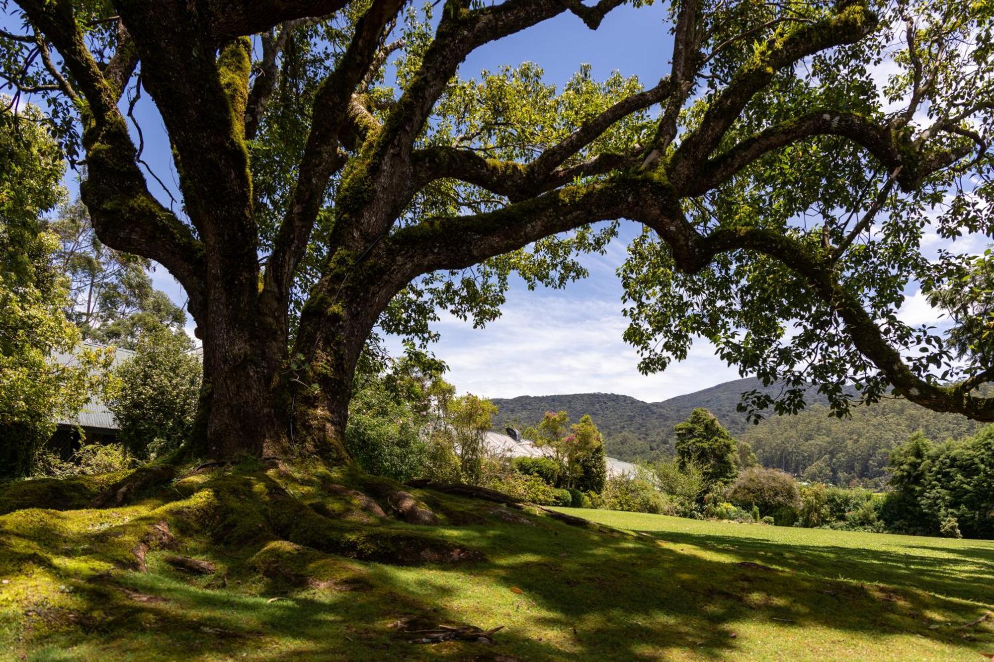 Ferncliff Bungalow Nuwara Eliya Bagian luar foto