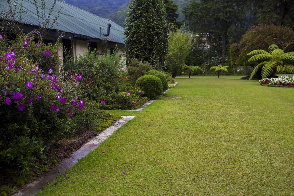 Ferncliff Bungalow Nuwara Eliya Bagian luar foto